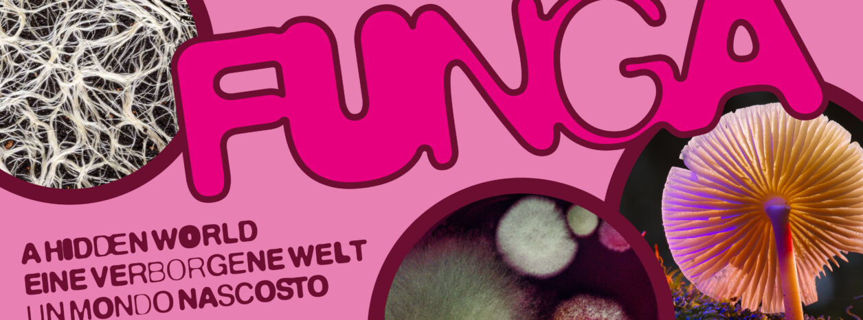 Sonderausstellung Funga